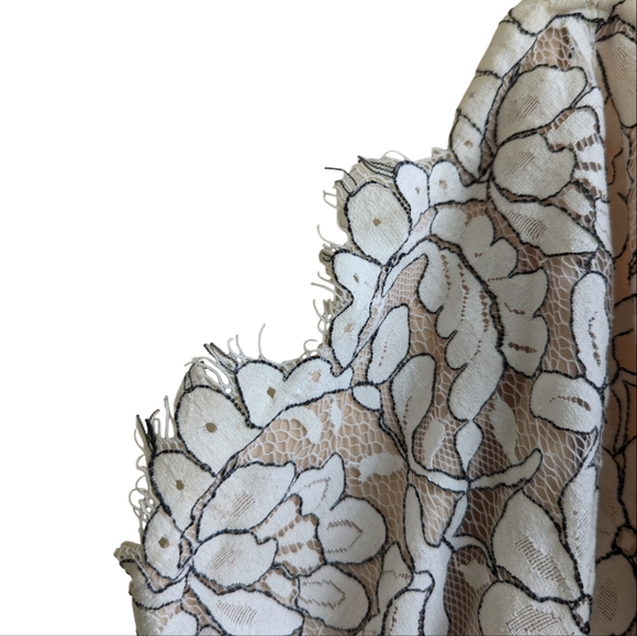 Lulu's Delicate Darling Beige and Ivory Lace Bodycon Dress - Picture 7 of 10